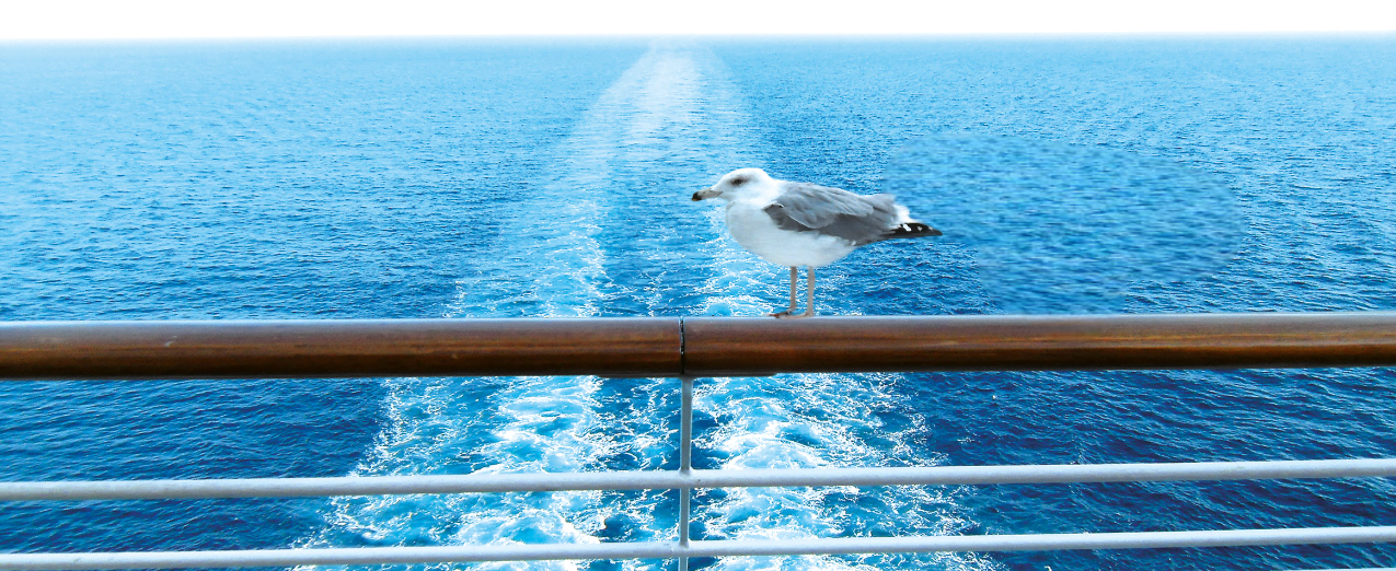 Cruises4you Schiffsreisen und Traumurlaube